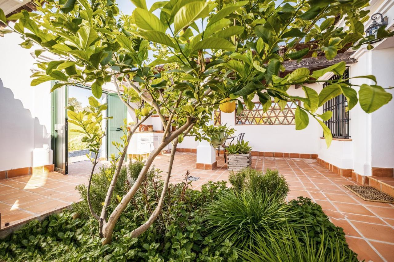 Casa Maurus By Rosas Cantares ปิซาร์รา ภายนอก รูปภาพ